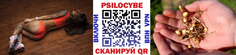 Галлюциногенные грибы ЛСД  Купить где  Киреевск 